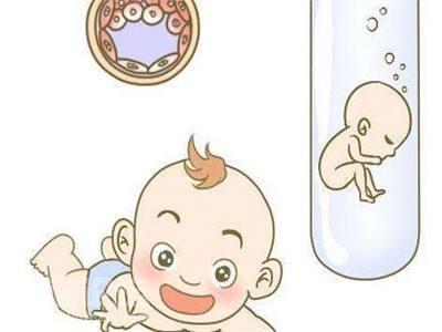 胚胎实验室主任